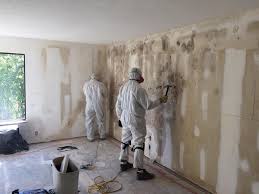 Why You Should Choose Our Mold Remediation Services in Jefferson, TX